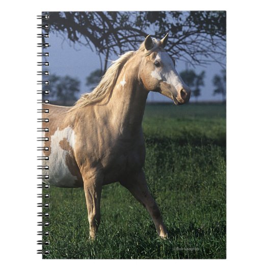 Paint Horse Standing 2 Notitieboek (Voorkant)