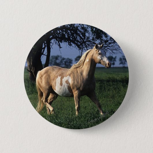 Paint Horse Standing 2 Ronde Button 5,7 Cm (Voorkant)