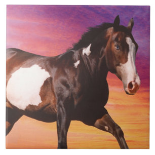 Paint Horse Sunrise Tile Tegeltje
