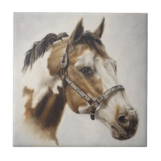 Paint Horse Tile Tegeltje