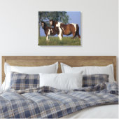 Paint Mare en Foal Canvas Afdruk (Insitu (Slaapkamer))