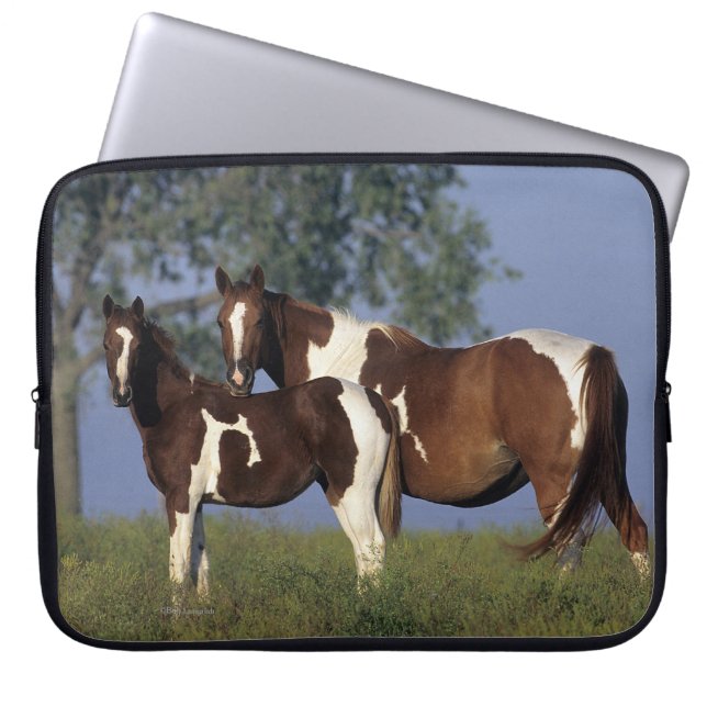Paint Mare en Foal Laptop Sleeve (Voorkant)