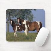 Paint Mare en Foal Muismat (Met muis)