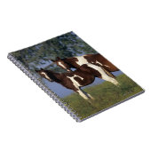 Paint Mare en Foal Notitieboek (Rechterzijde)