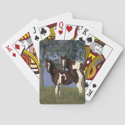 Paint Mare & Foal Speelkaarten (Achterkant)