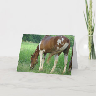Paint Mare Kaart