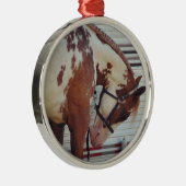 Paint Metalen Ornament (Rechts)