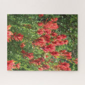 Paintbrush Jigsaw Puzzle (Horizontal)