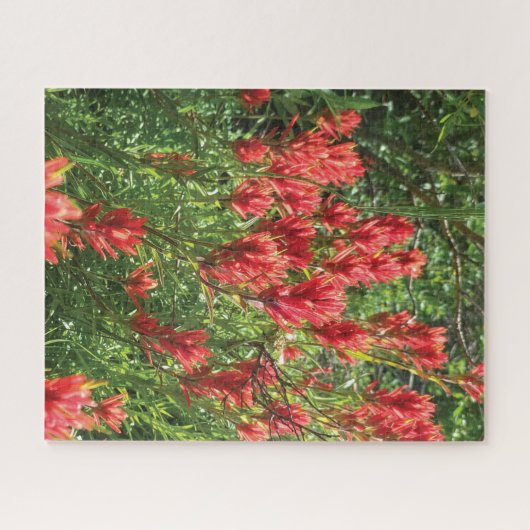 Paintbrush Jigsaw Puzzle (Horizontal)
