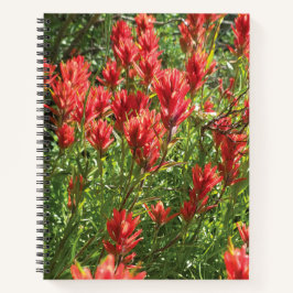 Paintbrush Spiral Notebook Notitieboek