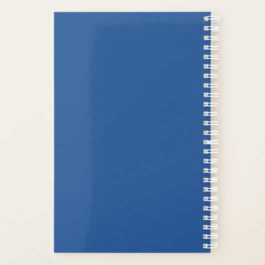 Painted Blue & Yellow Custom Monogram Name (Dos)