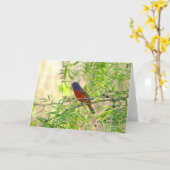 Painted Bunting special-4 Kaart (Gele Bloem)