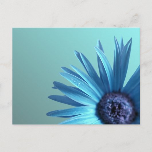 Painted Daisy Briefkaart (Voorkant)