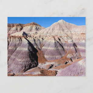 Painted Desert Petrified Forest National Park Briefkaart