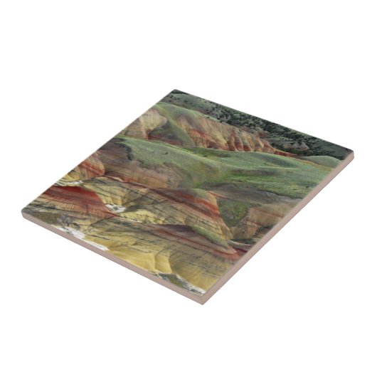 Painted Hills, John Day Fossil Beds, Mitchell Tegeltje (Zijkant)