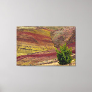 Painted Hills, Mitchell, Oregon, Verenigde Staten Canvas Afdruk