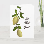 Painted Lemons Get Well Soon Kaart (Voorkant)
