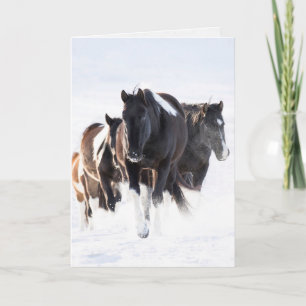 "Painted Snow Day II" - Wenskaart voor wilde paard Kaart