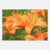 Painted Tiger Lily Inpakpapier Vel (Voorkant 3)