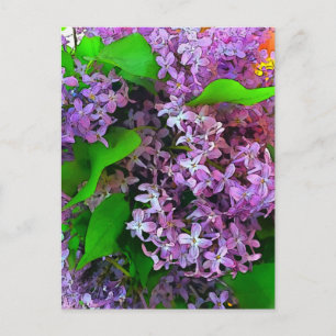 Painterly lilacs briefkaart