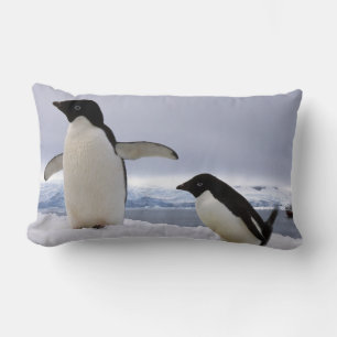 Pair Adelie penguins Antarctica Kussen