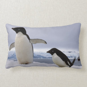 Pair Adelie penguins Antarctica Kussen