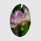 Pair de Lotus (devant)