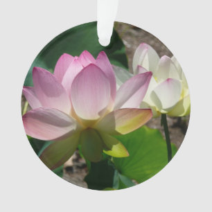 Pair de Lotus