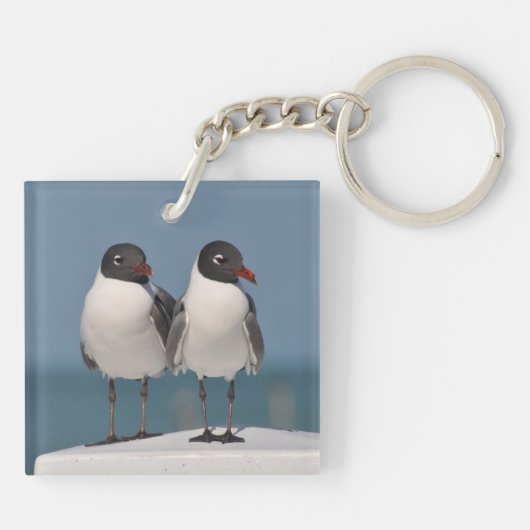 Pair of Black Headed Gulls Sleutelhanger (Achterkant)