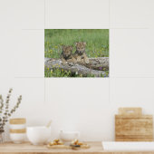 Pair of Cute Wolf Cubs Poster (Cuisine)