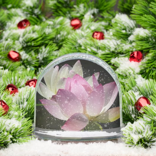 Pair of Lotus Flowers II (Noël)