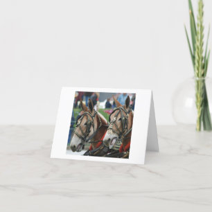 Pair of mules in harness kaart