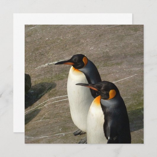 Pair of Penguins Invitation (Devant / Derrière)