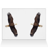 Paire d'aigle à tête blanche dans l'arbre (Intérieur Horizontal (Haut))