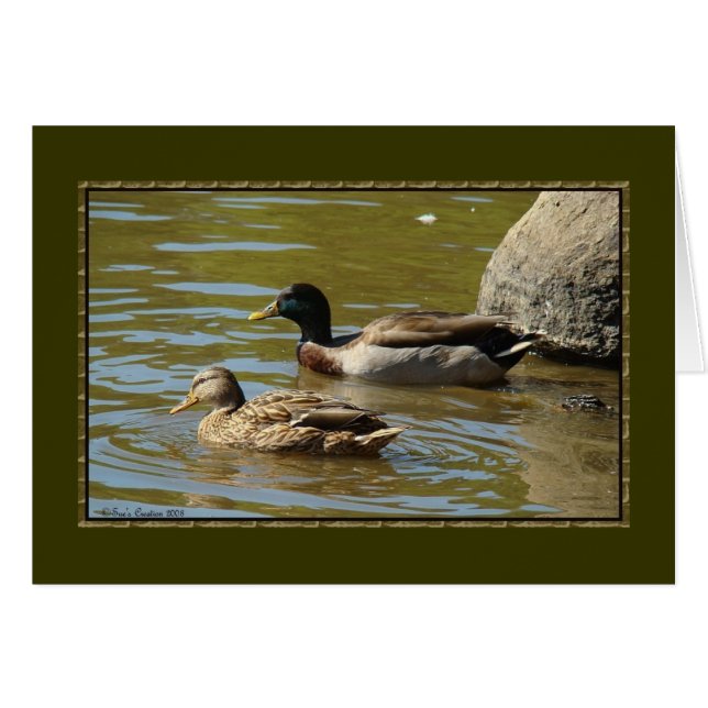 Paire de canard Mallard (Devant Horizontal)