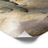 Paire de Iguanas Photographie de la faune tropical (Coin)