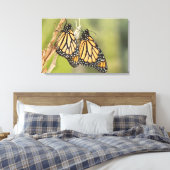 Paire de Monarch Butterflys Photographie Toile d'a (Insitu(Chambre))