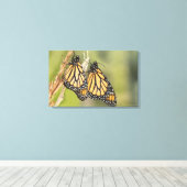 Paire de Monarch Butterflys Photographie Toile d'a (Insitu (Plancher de Bois))