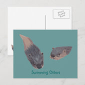 Paire de Otter de natation Cartes postales (Devant / Derrière)