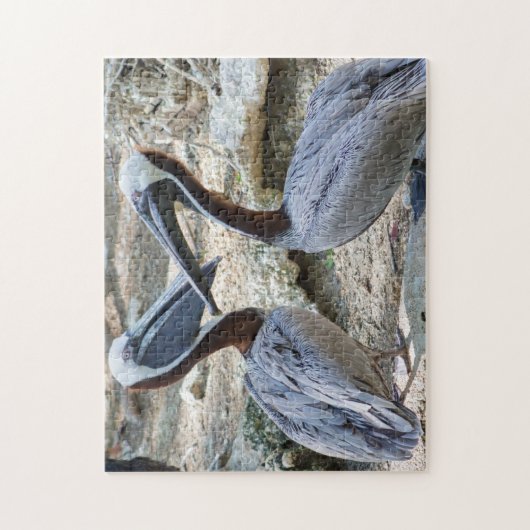 Paire de Pélicans Jigsaw Puzzle (Vertical)