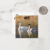 Paire de Swans Valentine's Day Note Cartes (Devant/Arrière en situation)