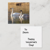 Paire de Swans Valentine's Day Note Cartes (Devant / Derrière)