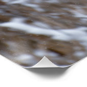 Paire d'oies grises volant dans une affiche à neig (Coin)