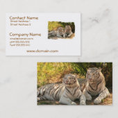 Paires de cartes de visite blancs de tigres (Devant / Derrière)