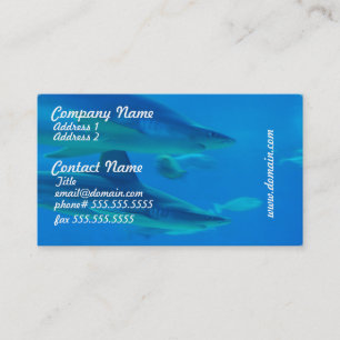 Paires de cartes de visite de requins
