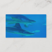 Paires de cartes de visite de requins (Dos)