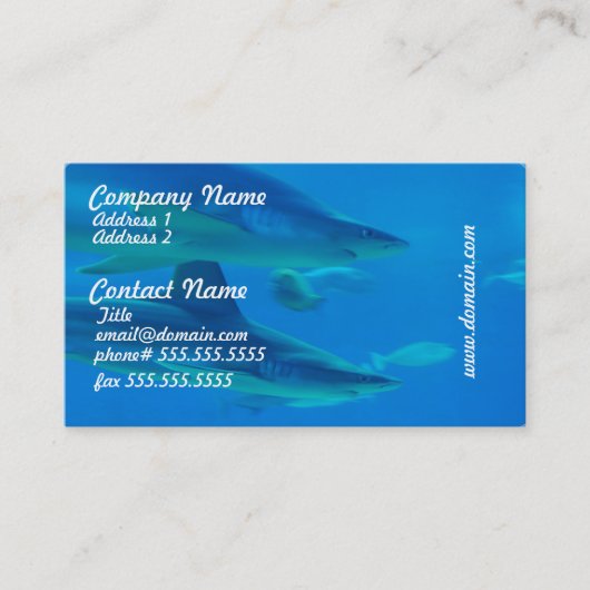 Paires de cartes de visite de requins (Devant)