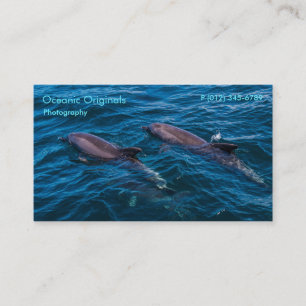 Paires de modèle de carte de visite de dauphins d