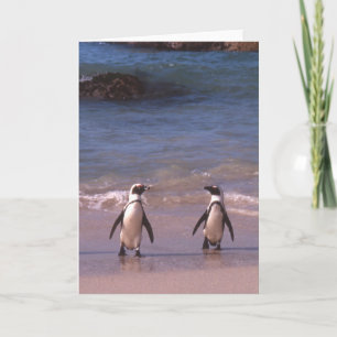 Paires de pingouin sur la carte de plage