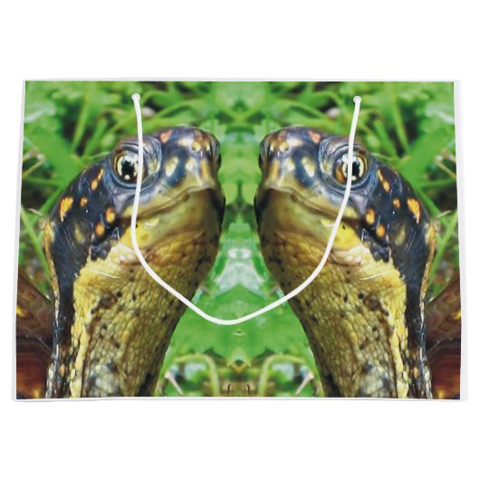 Paires de sac de cadeau d'amis de tortue de boîte (Devant)